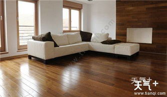 家里木地板怎么清潔 木地板清潔小竅門