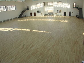 甲級運(yùn)動(dòng)木地板 暢森